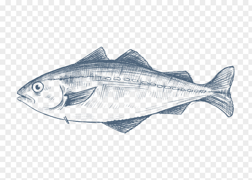Fish Pollack Products Cod Pollock PNG