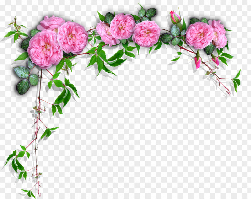 Flower Garden Roses Floral Design Cut Flowers Scrapbooking PNG