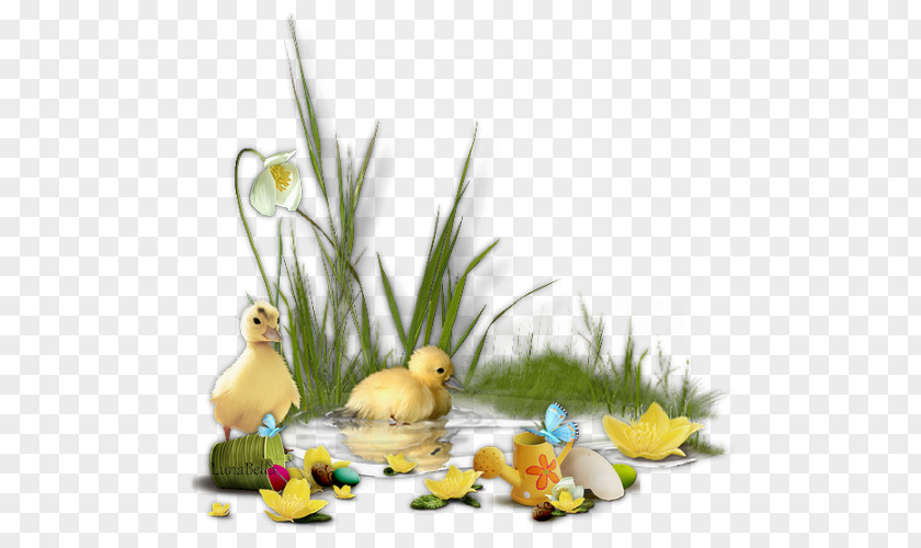 Pouring Easter Bunny Egg Clip Art PNG
