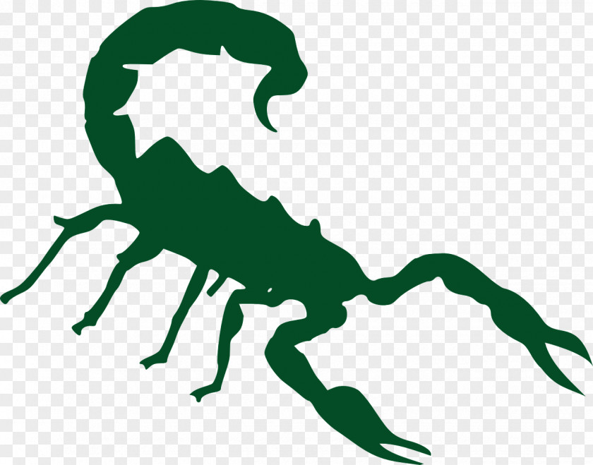 Scorpion Clip Art Vector Graphics Logo PNG