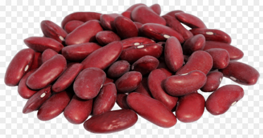 Baked Beans Kidney Bean Moth Red And Rice PNG