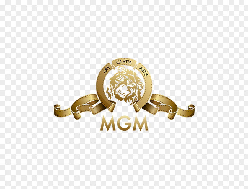 Dreamworks Logo Metro-Goldwyn-Mayer MGM Holdings Television Show Film PNG
