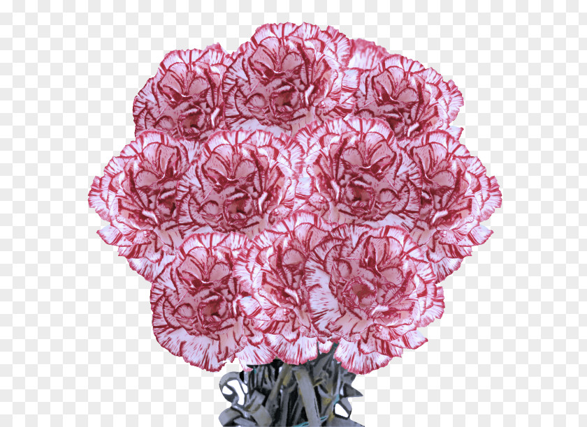 Floral Design PNG