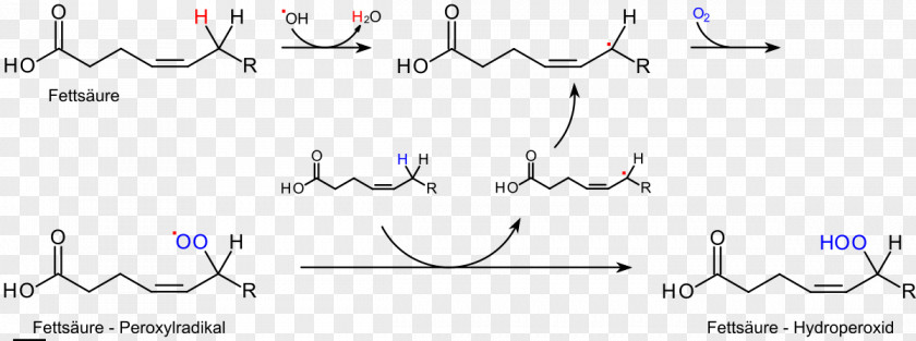 Lipid Peroxidation Rancidification Fat Radical PNG