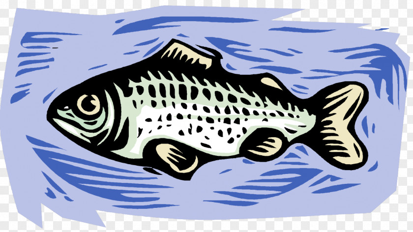 Platter Salmonlike Fish Cartoon PNG