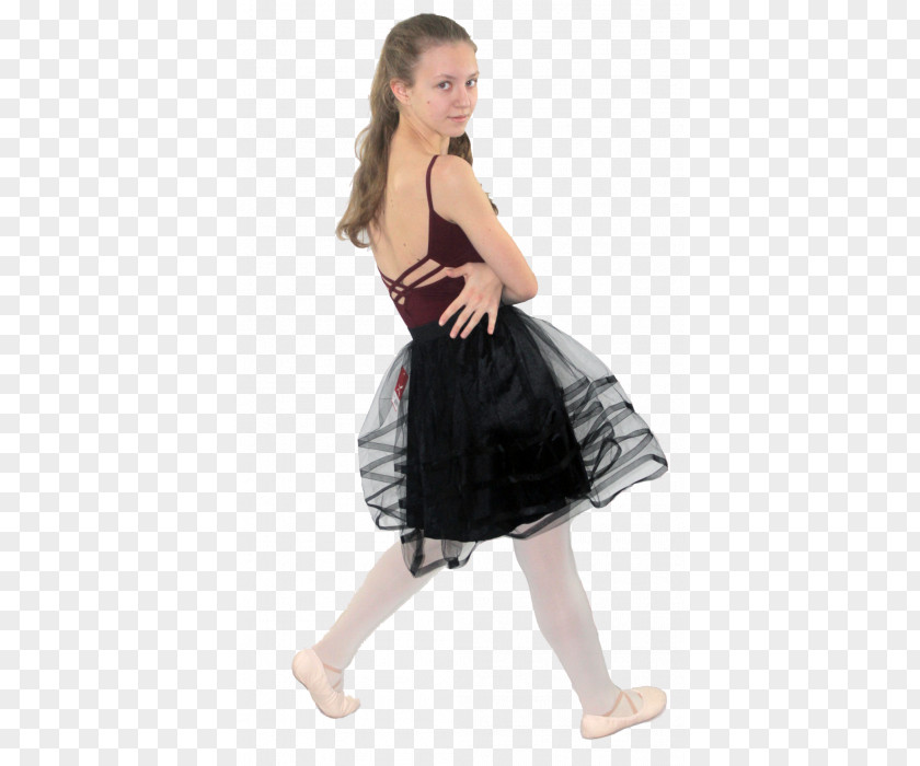 Tutu Skirt Cocktail Dress Costume Ballet PNG