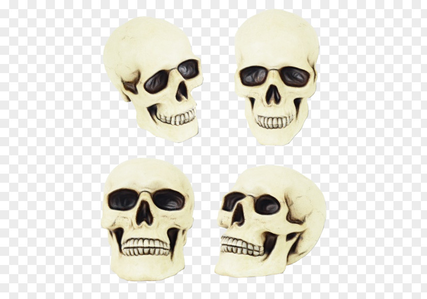 Costume Accessory Fashion Skull Bone Face Head Skeleton PNG
