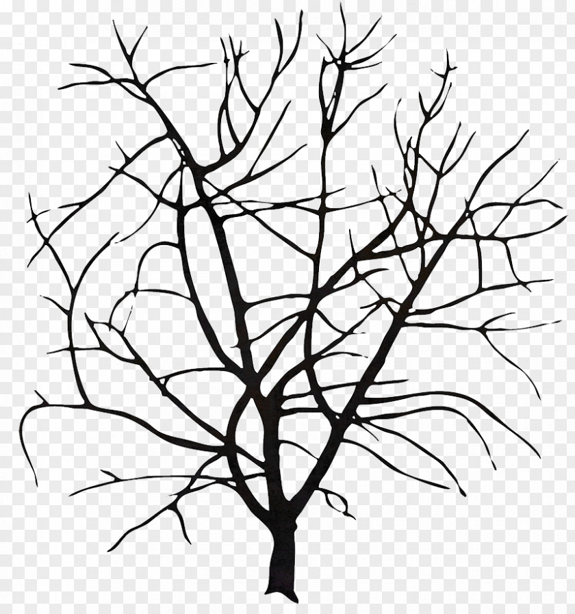 Embellishment Wall Decal Tree Sticker Photography Monochrome PNG