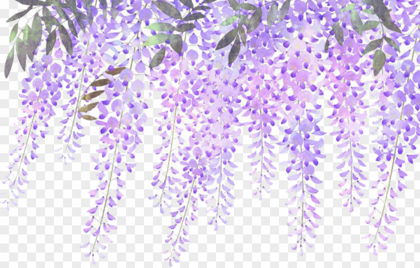 Flower Floral Design Lilac Lavender PNG