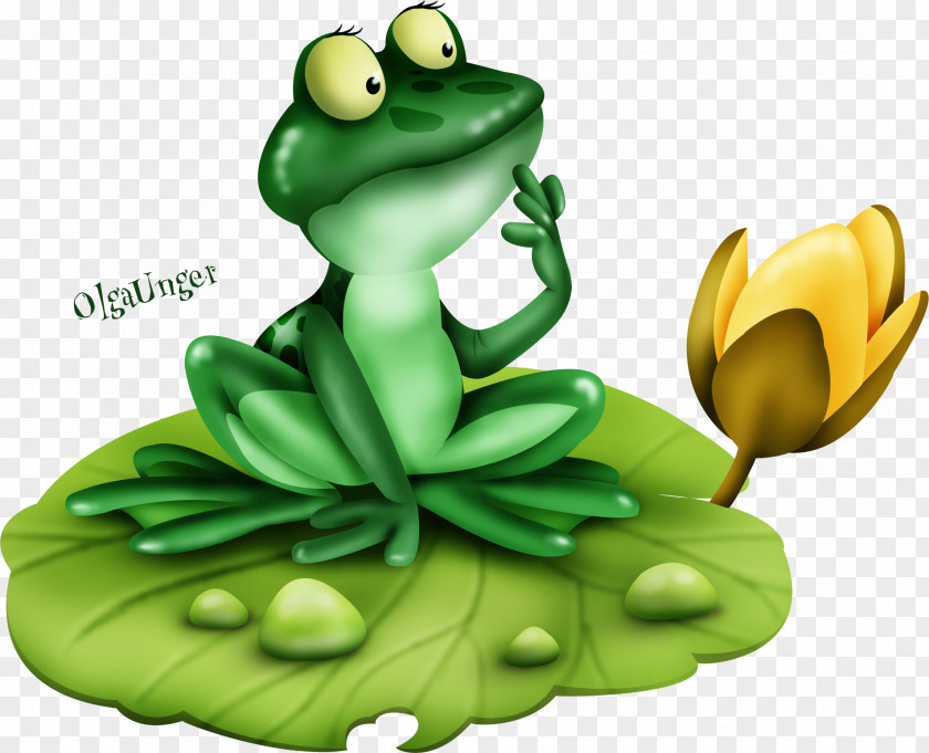 Frog Amphibians Image Drawing PNG