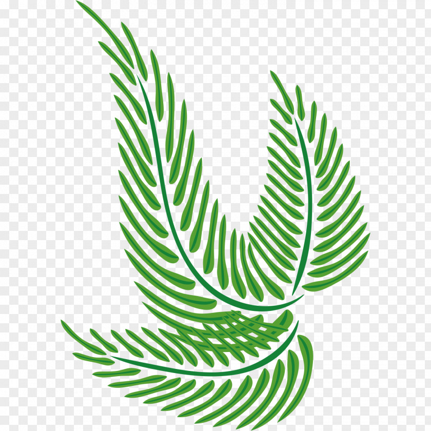 Green Ornament Leaf Design Image PNG