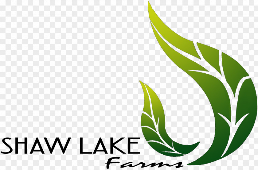 Leaf Logo Brand Plant Stem Font PNG