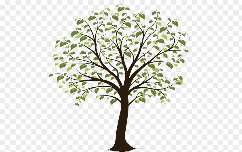 Tree Clip Art PNG