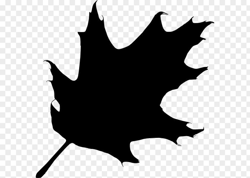 Black Leaf Oak Silhouette Tree Clip Art PNG