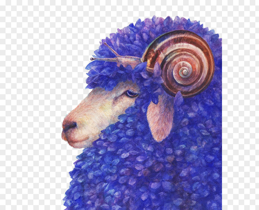 Blue Sheep Suffolk Photography Art PNG