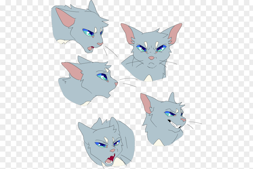 Cat Wildcat Warriors Kitten Firestar PNG