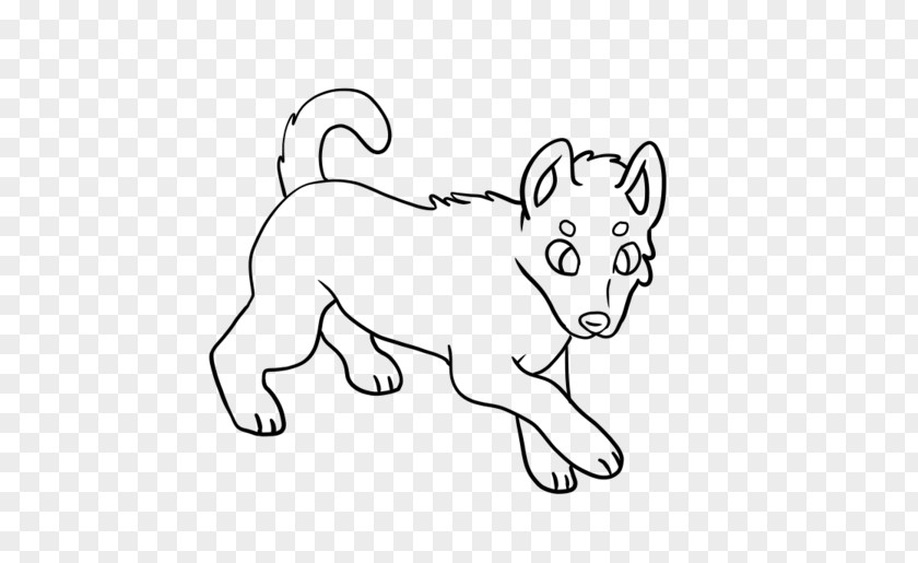 Lion Whiskers Line Art Cat PNG