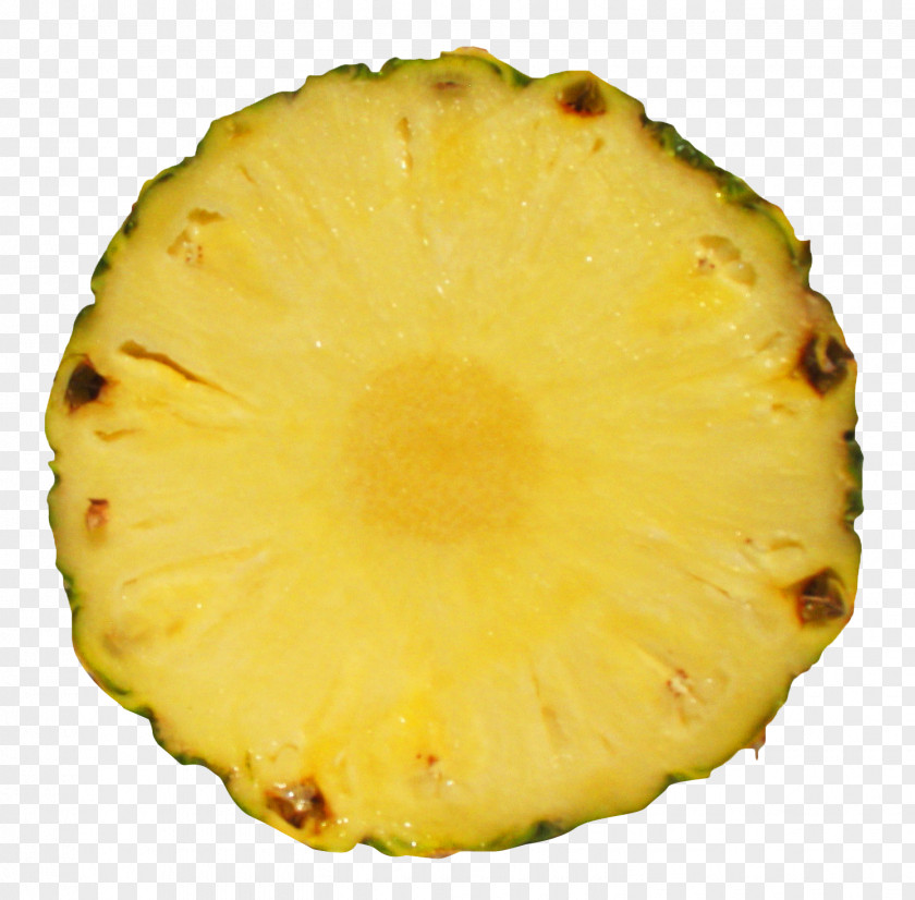 Pineapple Slice Fruit PNG