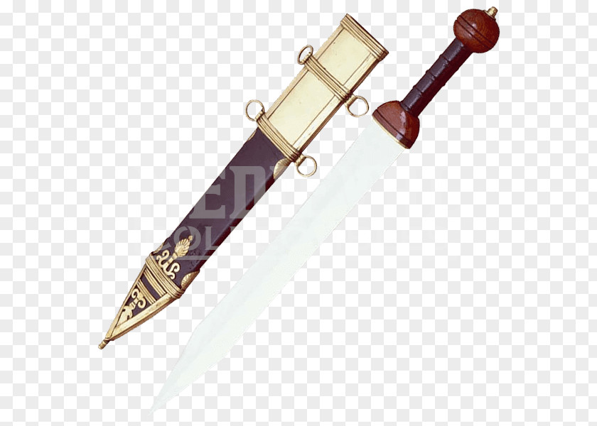 Sword Gladius Maximus Gladiator Dagger PNG