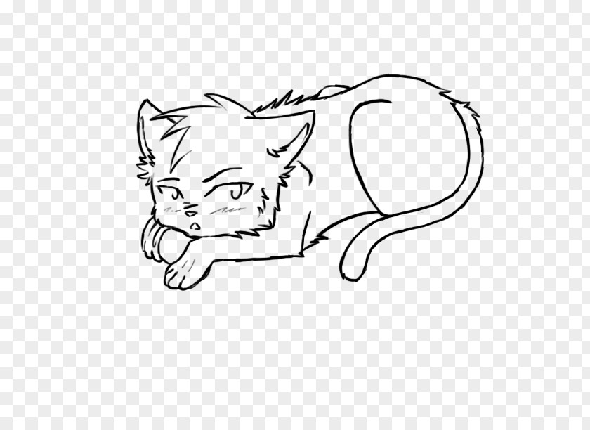 Cat Whiskers Drawing Dog Painting PNG