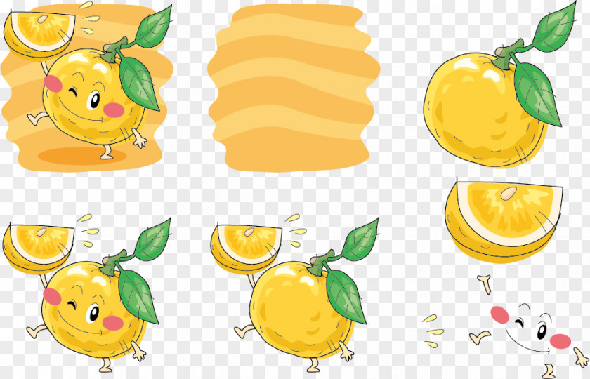 Expression Vector Holding Lemon Mandarin Orange Sitrushibried Illustration PNG