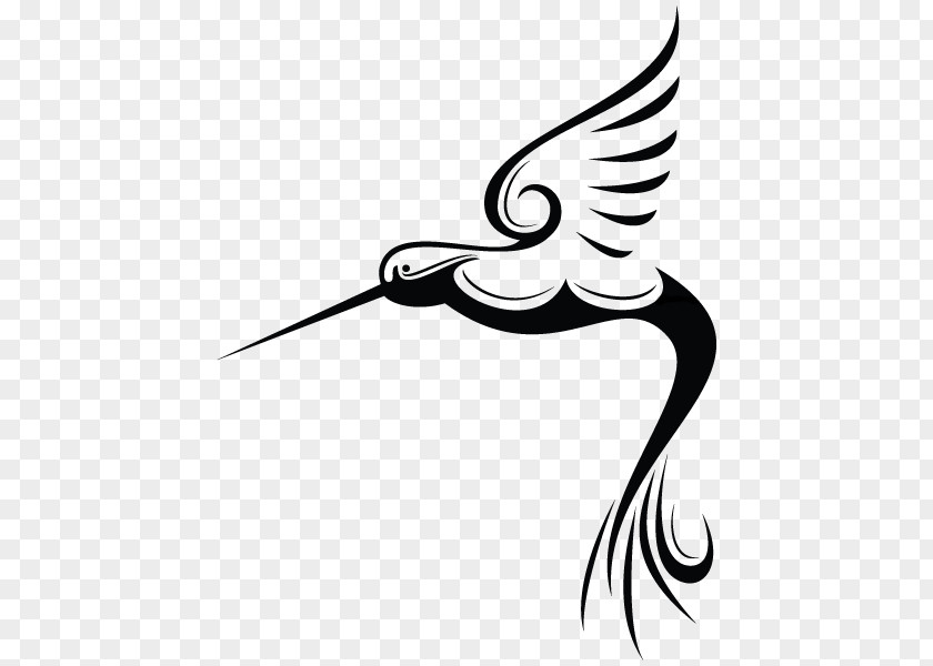 Phenix Clipart Hummingbird Abziehtattoo Drawing Body Piercing PNG