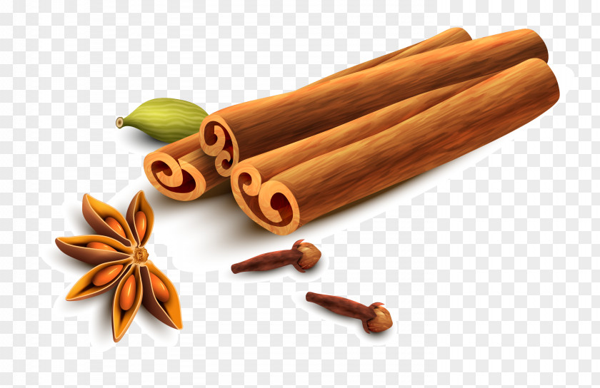 Vector Hand Painted Cinnamon And Star Anise Sichuan Pepper PNG