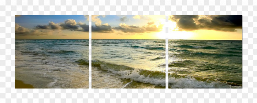 Beach Sunset Photography Shore Photographic Printing Picture Frames PNG