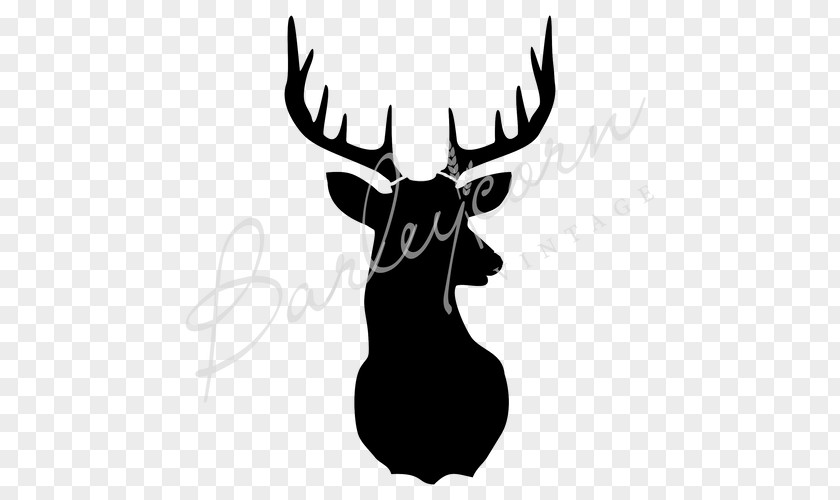 Deer Silhouette Moose Stencil Photography PNG