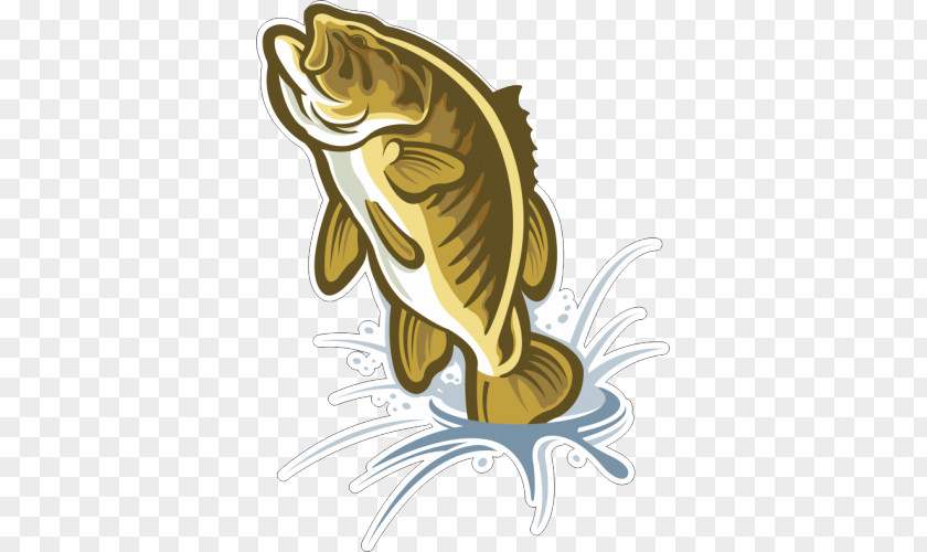 Fish Bass Clip Art PNG