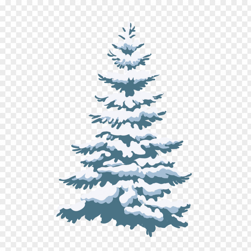 Snow Pine Fir Christmas Tree PNG