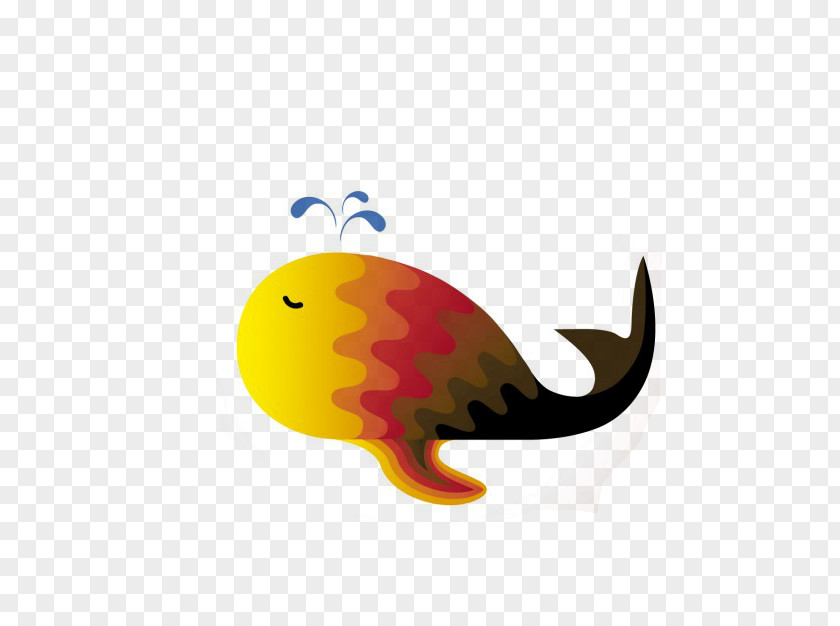 Whale Color Drawing PNG