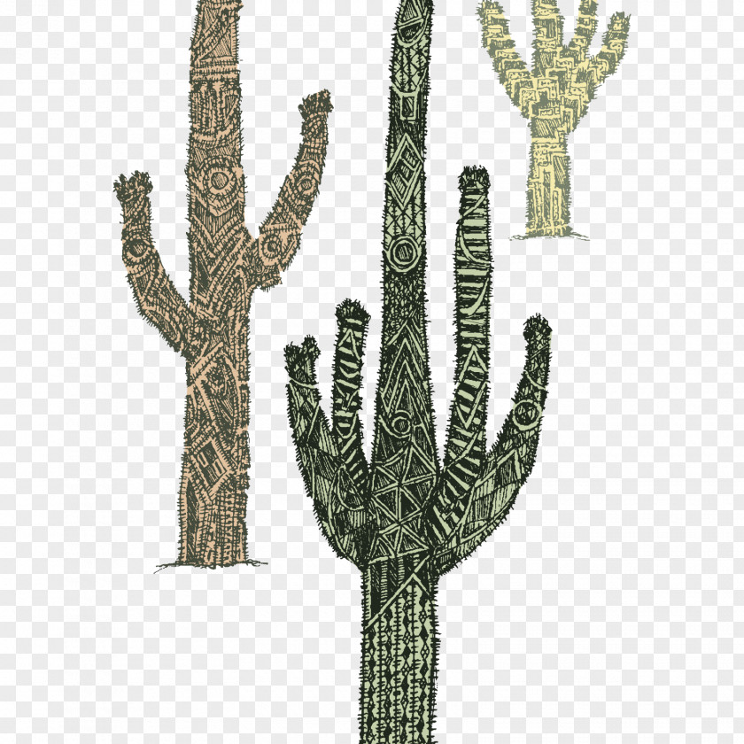 Cactus Creative Cactaceae Child Zazzle Succulent Plant Clothing PNG