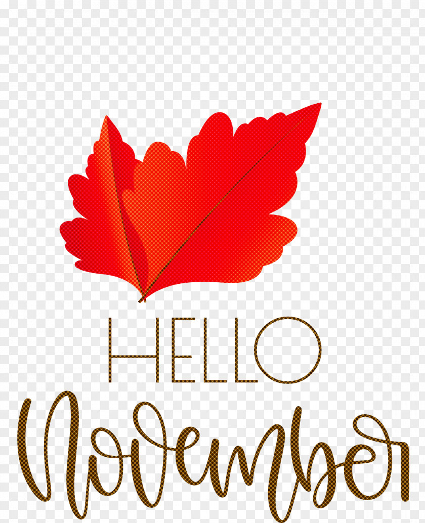 Hello November November PNG