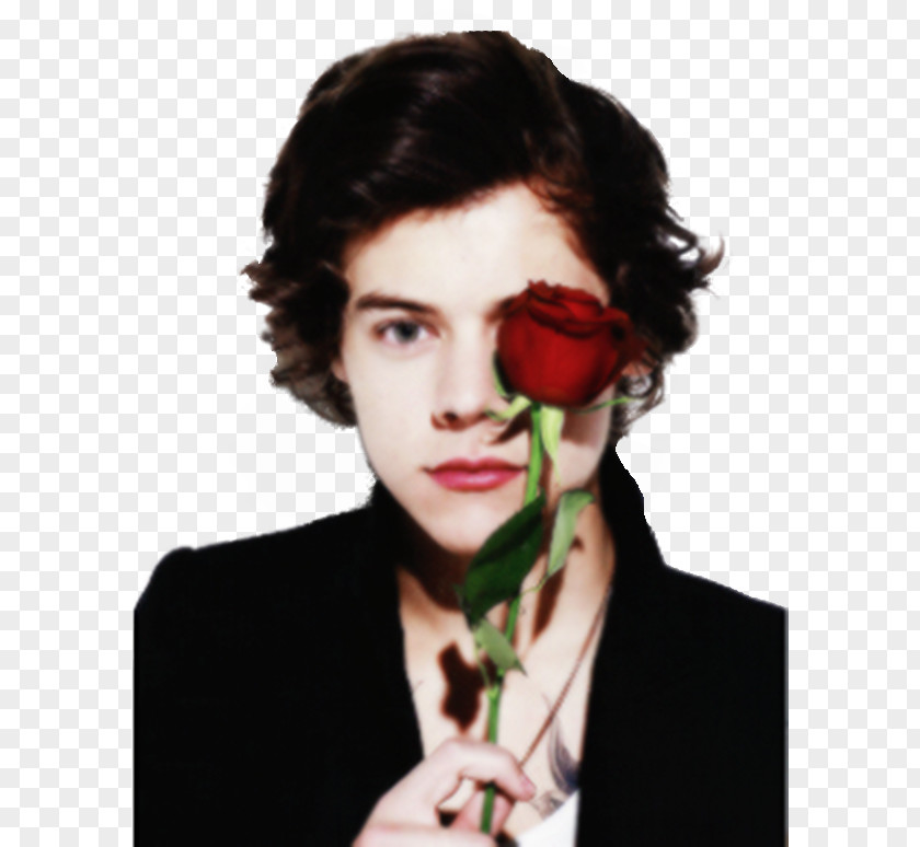 One Direction Harry Styles Photo Shoot Boy Band PNG