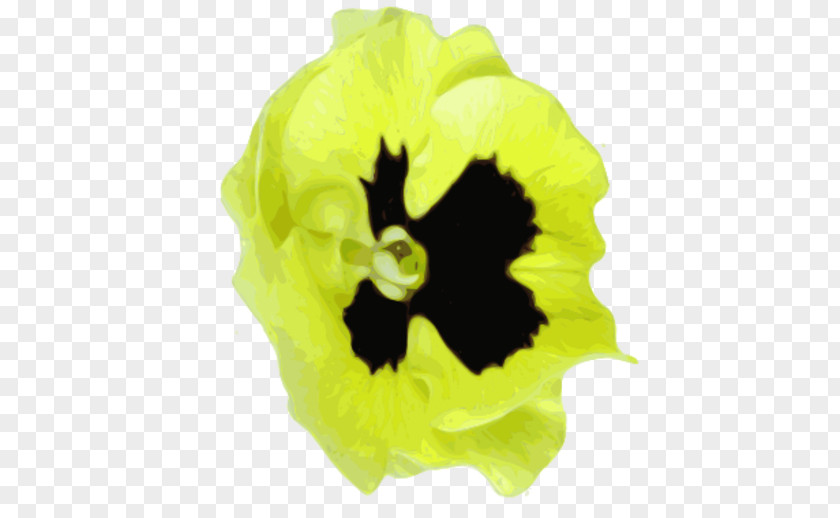 Pansy Flowering Plant Yellow PNG