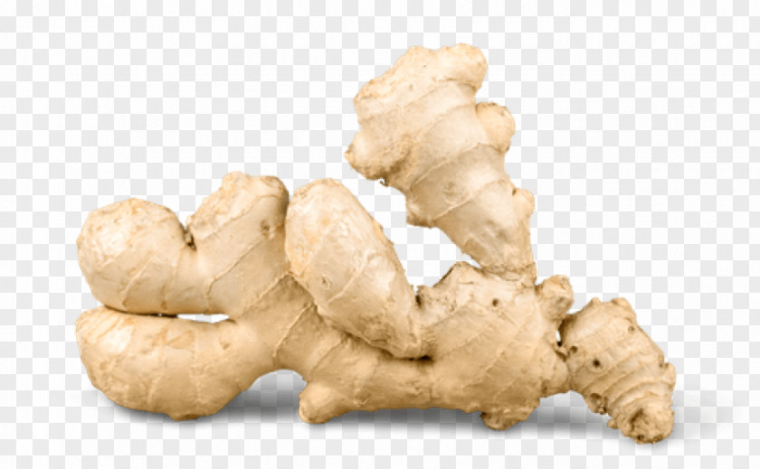 Cinnamon. Ginger Root Vegetables Clip Art Image PNG