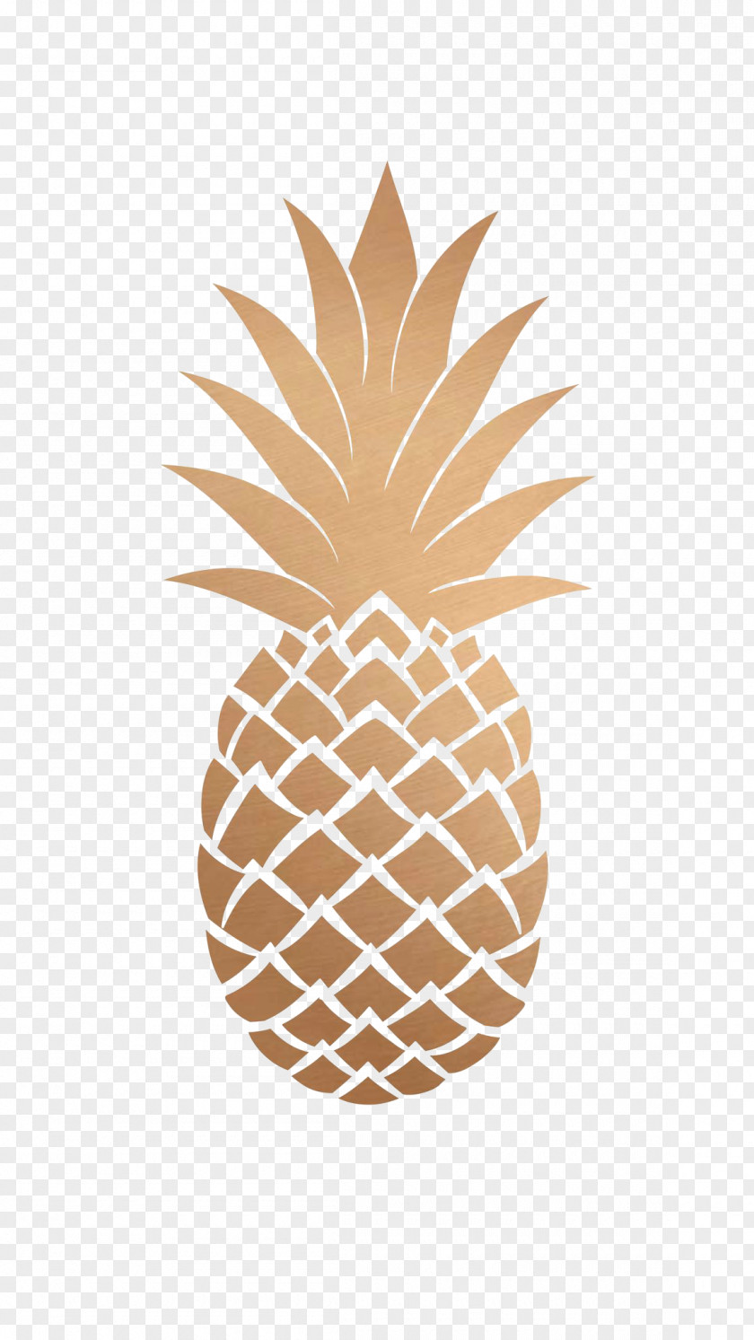 Watermelon Pineapple Desktop Wallpaper CUTE FRUIT Drawing PNG
