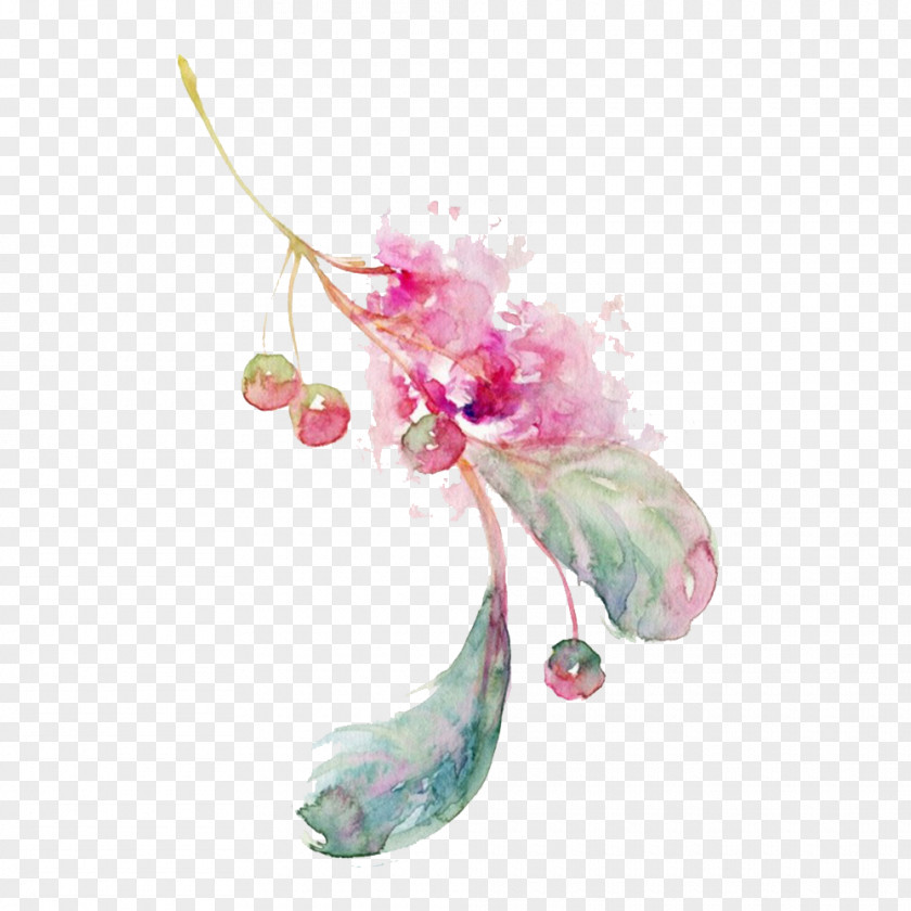 Cherry Illustration Watercolor Painting Drawing PNG