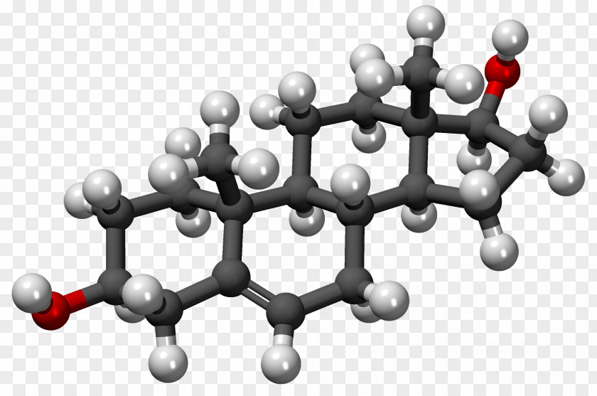Cholesterol Dehydroepiandrosterone Estrone Steroid High-density Lipoprotein PNG