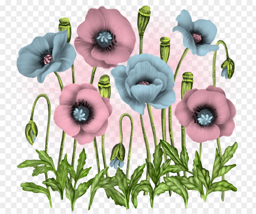 Flower Poppy Clip Art PNG