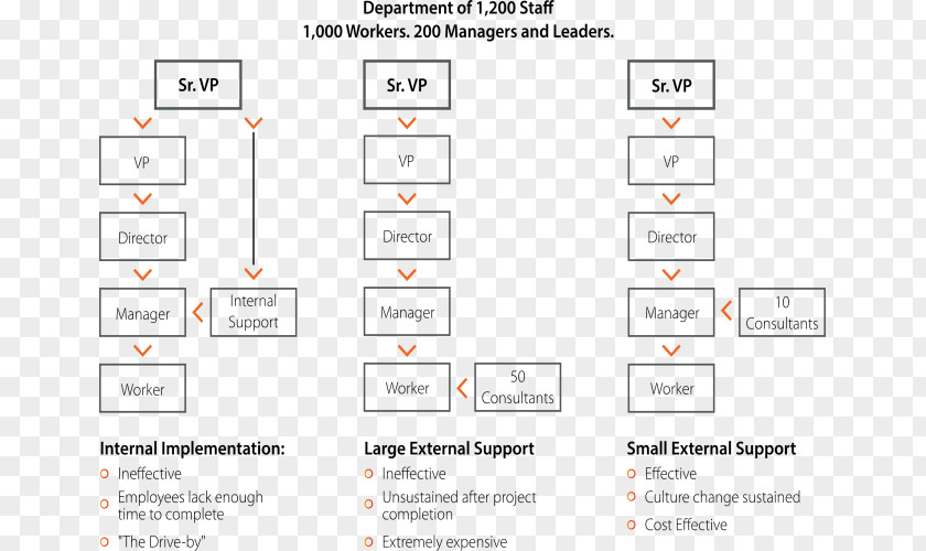 Line Screenshot Organization Pattern PNG