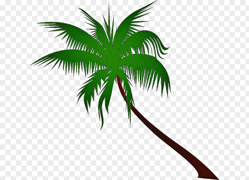 Roystonea Houseplant Coconut Tree Cartoon PNG