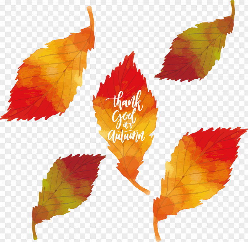 Thanks Autumn Leaf Watercolor Painting PNG