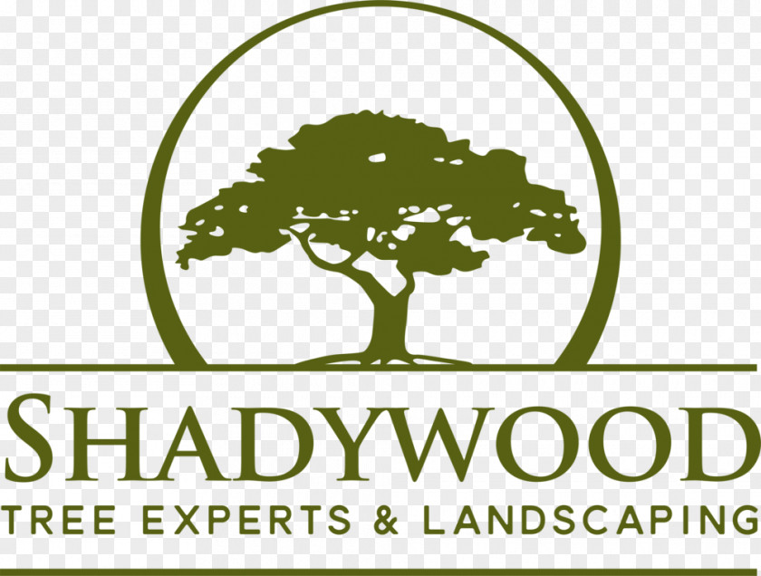 Tree Shadywood Experts Layton Builders, Inc. Industry Dogwood Meadows PNG