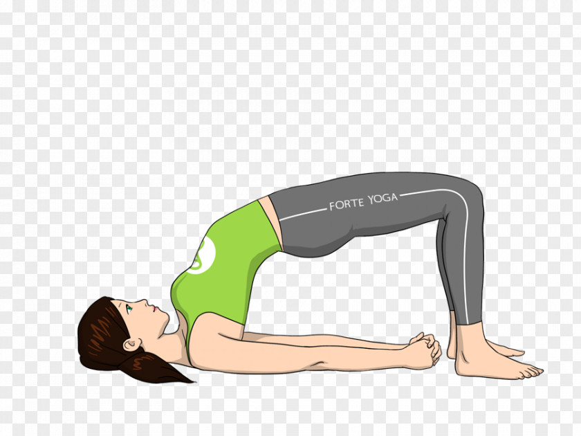 Camel Yoga Bridge Setu Bandha Sarvangasana Chakrasana PNG