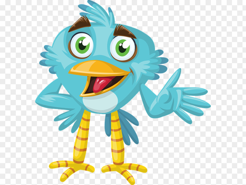 Cartoon Zoo Bird Animal PNG