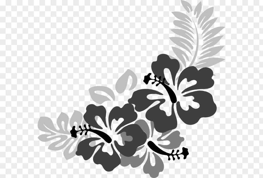 Gray Flower Hawaiian Hibiscus Clip Art PNG