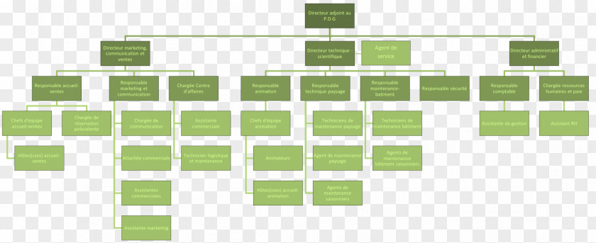 Marketing Organizational Chart Craft Terra Botanica Open Space Reserve PNG