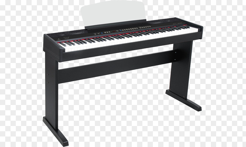 Piano Digital Electric Nord Electro Player Electronic Keyboard PNG